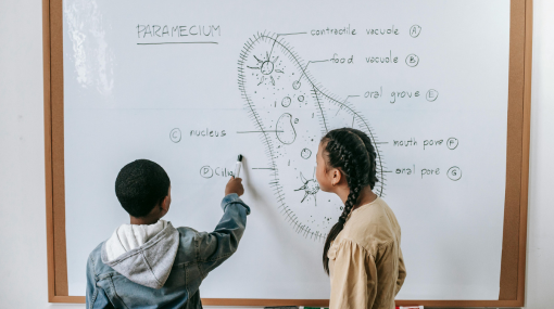 How Summer Tutoring Empowers Slow-Working Students